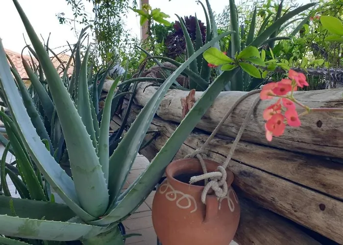 Wonderful Spot To Recharge